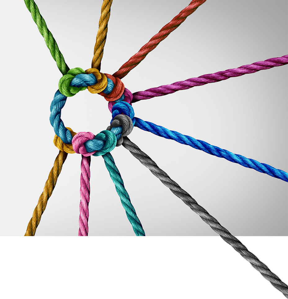 Partners_Banner