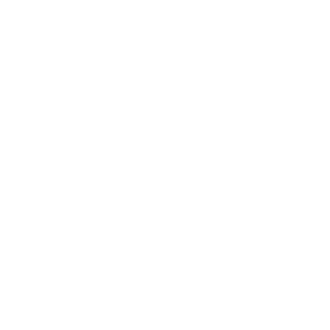 Company logo SEB (Skandinaviska Enskilda Banken (publ))